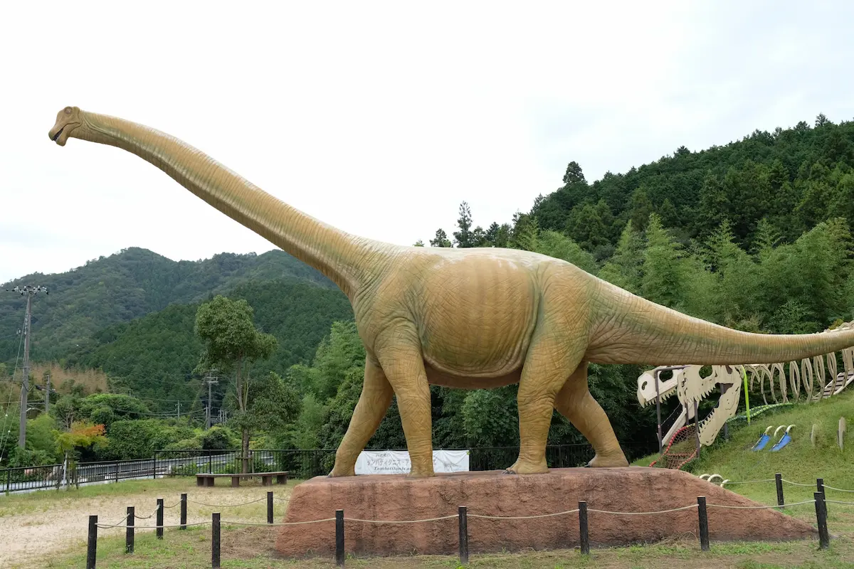 タンバティタニス